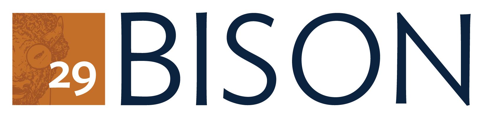 29Bison_human_capital_advisors_logo